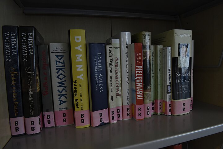 Ksiązki ustawione w rzędzie