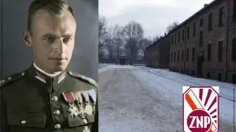 Zdjęcie dekoracyjne